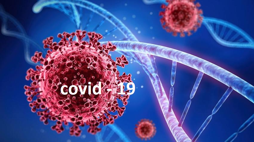 covid-19