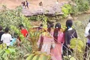 झुंड से बिछड़कर गहरे नाला में गिरा हाथी, रेस्क्यू में जुटा वन विभाग