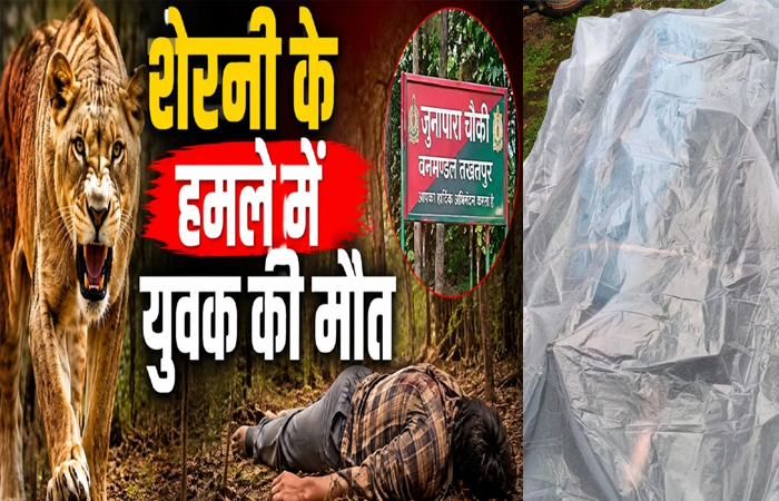 CG NEWS: शेरनी के हमले में युवक की मौत, इलाके में दहशत का माहौल CG NEWS: शेरनी के हमले में युवक की मौत, इलाके में दहशत का माहौल