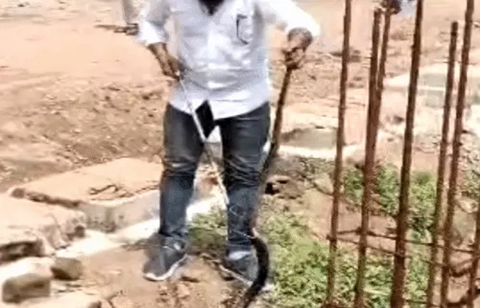 जिला-अस्पताल के पोस्टमार्टम हाउस में निकला 5 फीट का सांप, गड्ढे काम छोड़ भागे कर्मचारी जिला-अस्पताल के पोस्टमार्टम हाउस में निकला 5 फीट का सांप, गड्ढे काम छोड़ भागे कर्मचारी