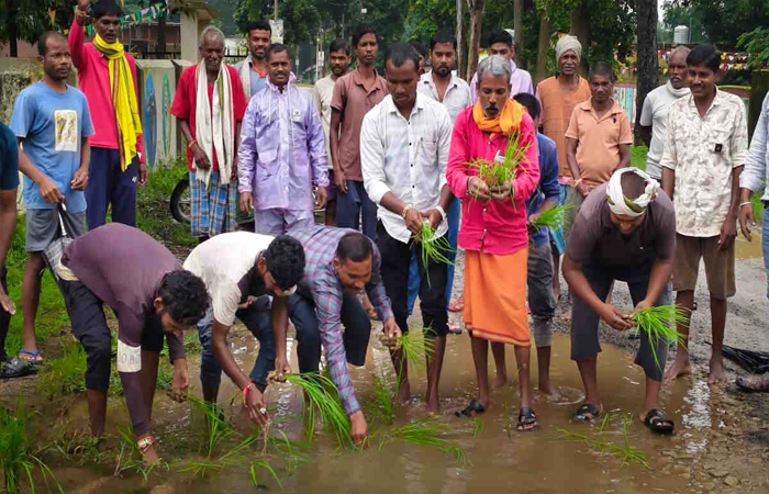 68 लाख की सड़क सालभर में जर्जर, गड्ढों में धान और बेशरम के पौधे रोपकर ग्रामीणों ने जताया आक्रोश 68 लाख की सड़क सालभर में जर्जर, गड्ढों में धान और बेशरम के पौधे रोपकर ग्रामीणों ने जताया आक्रोश