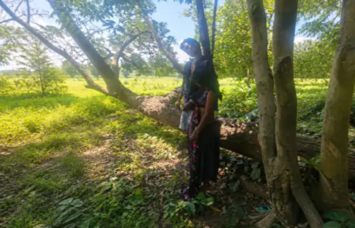 एक ही फंदे पर लटकी मिली युवक-युवती की लाश, पुलिस जांच में जुटी एक ही फंदे पर लटकी मिली युवक-युवती की लाश, पुलिस जांच में जुटी