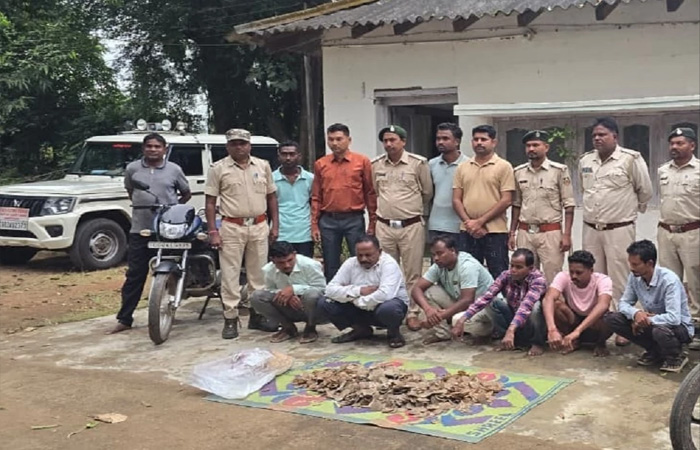 CG NEWS: वन विभाग की बड़ी कार्रवाई, 14 किलो पैंगोलिन शल्क के साथ 6 आरोपी गिरफ्तार CG NEWS: वन विभाग की बड़ी कार्रवाई, 14 किलो पैंगोलिन शल्क के साथ 6 आरोपी गिरफ्तार